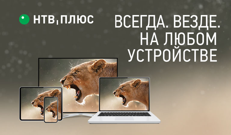 Купить Ноутбук Минск Webmoney